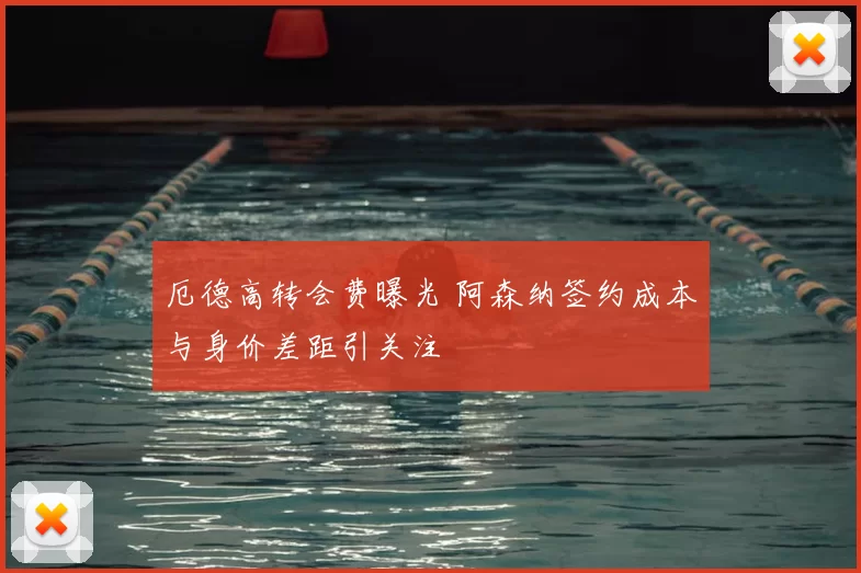 厄德高转会费曝光 阿森纳签约成本与身价差距引关注
