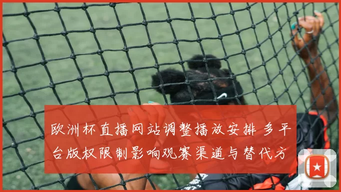 欧洲杯直播网站调整播放安排 多平台版权限制影响观赛渠道与替代方案