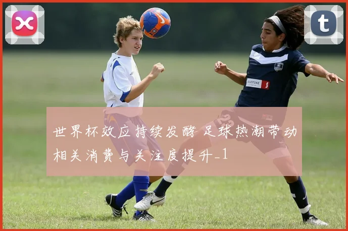 世界杯效应持续发酵 足球热潮带动相关消费与关注度提升_1