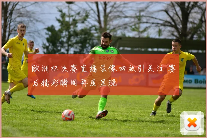 欧洲杯决赛直播录像回放引关注 赛后精彩瞬间再度呈现
