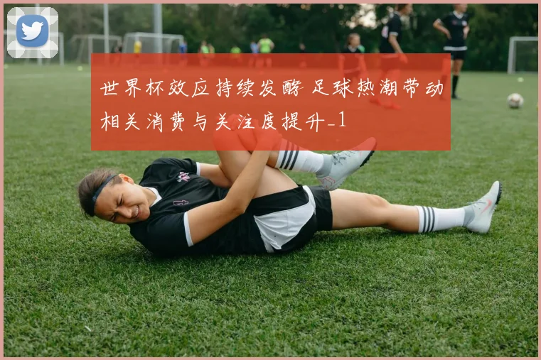 世界杯效应持续发酵 足球热潮带动相关消费与关注度提升_1